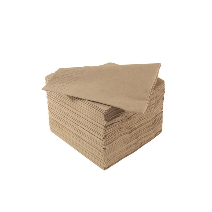 2 Ply Natural Recycled Napkin 24cm