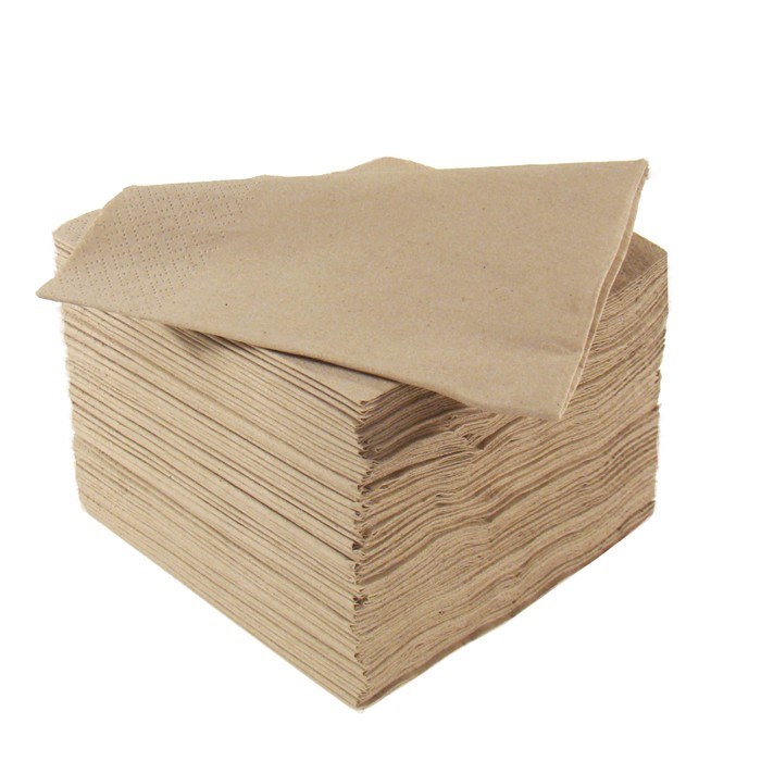 Napkin 24cm Natural 2 Ply