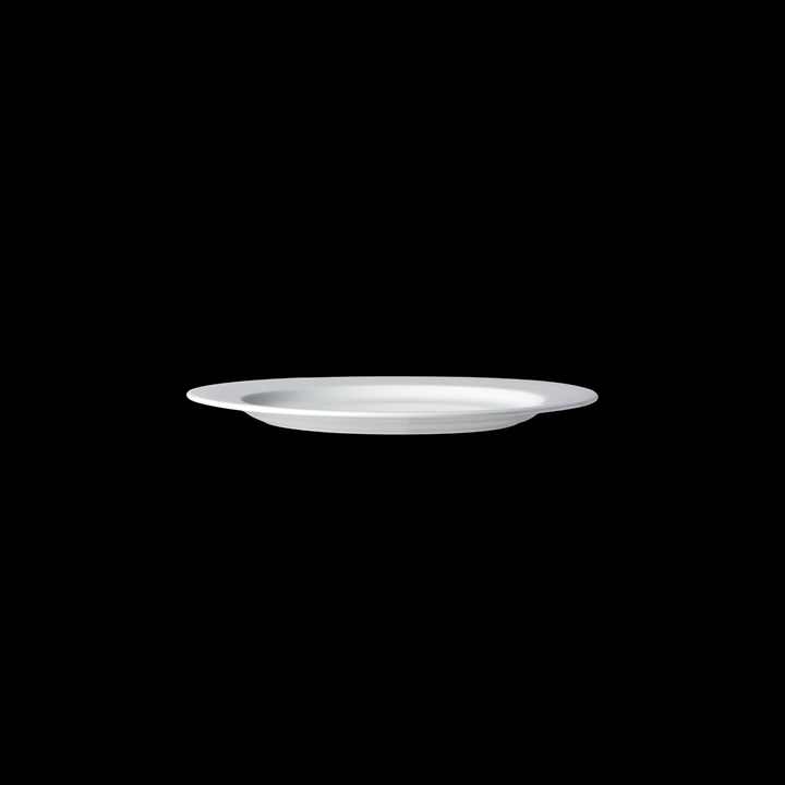 Plate Flat Rimme White China 20.25cm 8in