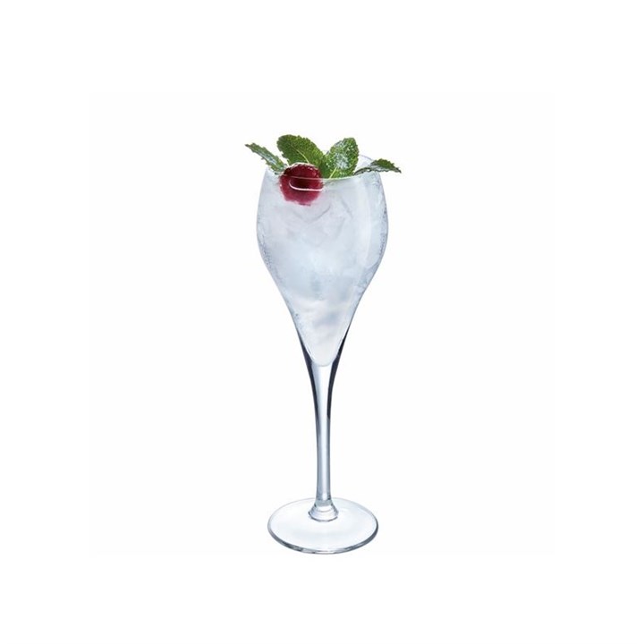 Brio Flute Glass 16cl