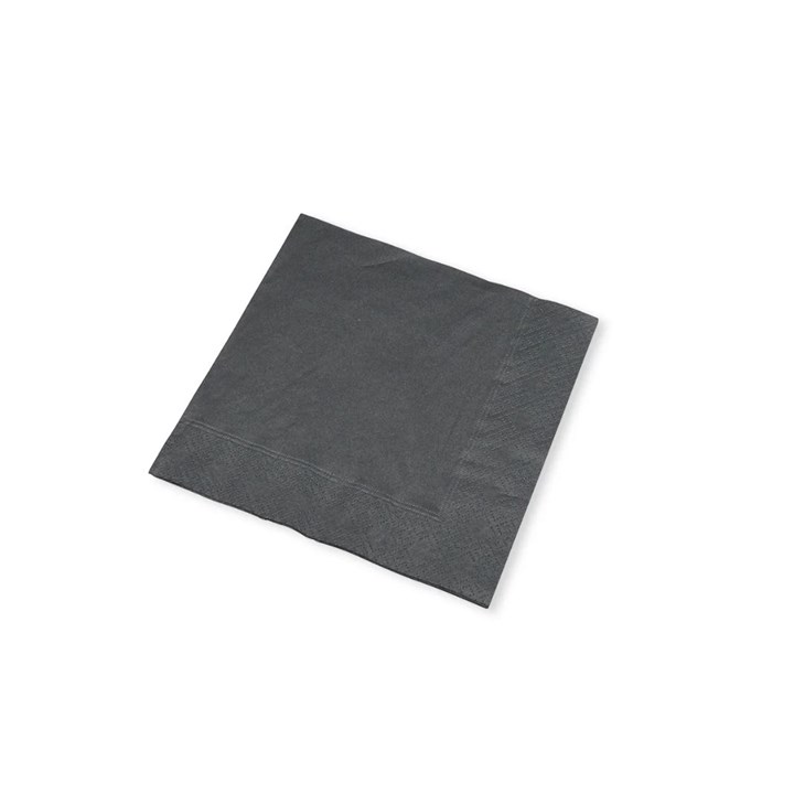 Napkin 25cm Black 2 Ply