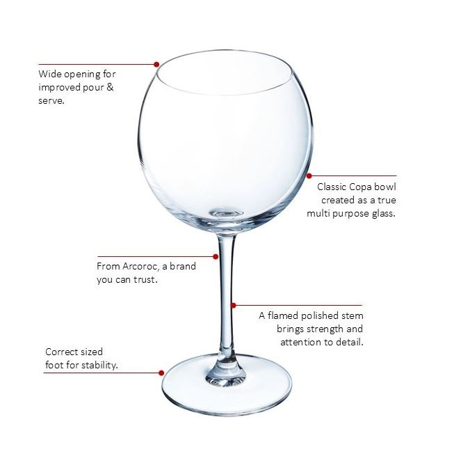 Vina Splendid Gin / Copa / Ballon Stem 58cl