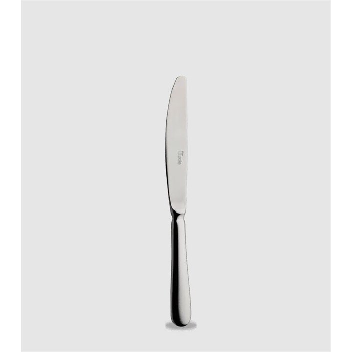 Hollands Glad Dessert Knife 21cm