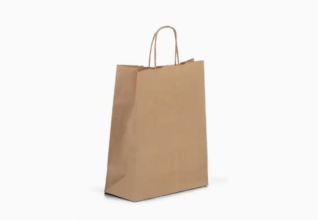 Large Brown Paper Carrier 10x15x12in