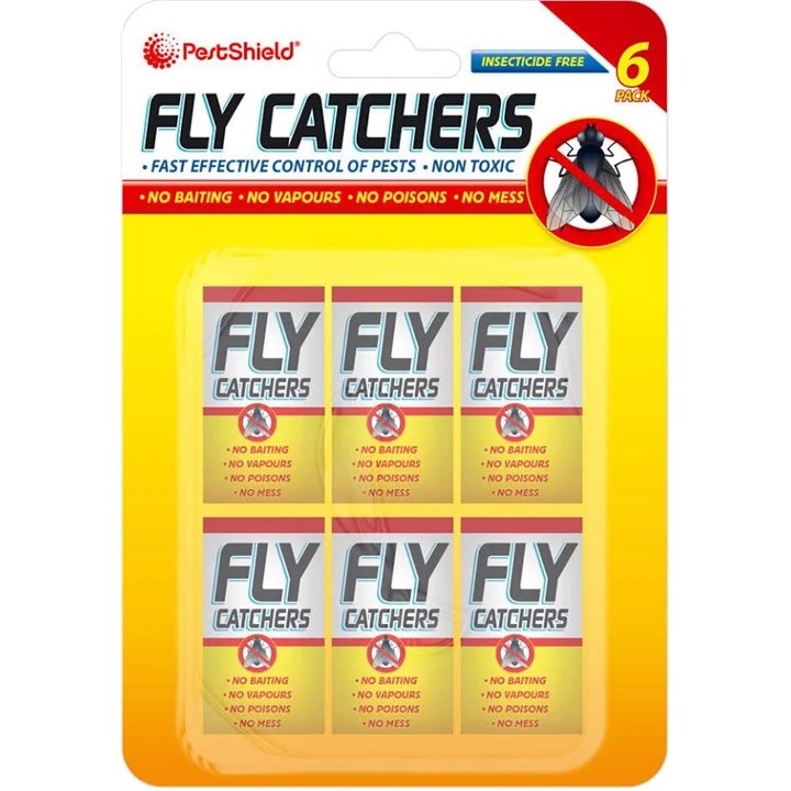 Fly Catcher