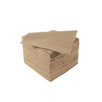 Napkin 24cm Recycled Natural 2 Ply