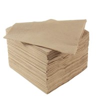 Napkin 40cm 2 Ply Natural Recycled