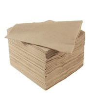 Napkin 24cm Natural 2 Ply