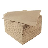 Napkin Cocktail 2Ply 24cm Natural