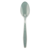 Plastic Spoon Clear Heavy Duty