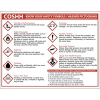 Sign - COSHH know your safety symbols