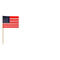 Flag Skewers - USA