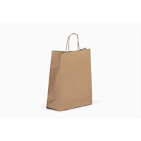 Large Brown Paper Carrier 10x15x12in