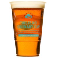 VeriGreen Plus Flexy Glass 1 pint to brim CE 56cl