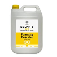 Delphis Foaming Descaler 5L (RTU)