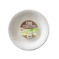 Paper Plate White 9in