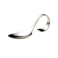 Tasting Spoon Stainless Steel