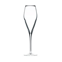 Atelier Champagne Glass 24cl (8.5oz)